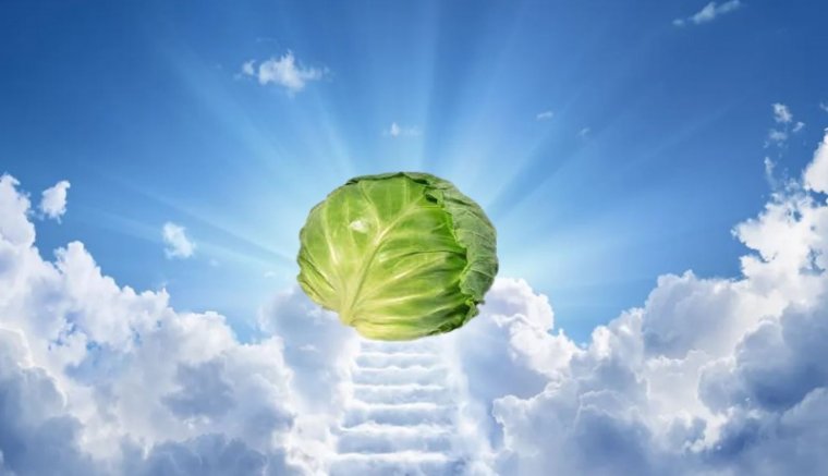 A lusták káposztája