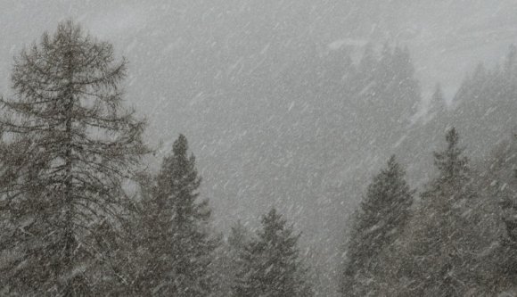 Trump vagyonát is gyarapította közpénzből Iohannis, recsegő tél lesz jövő héttől – hírmix