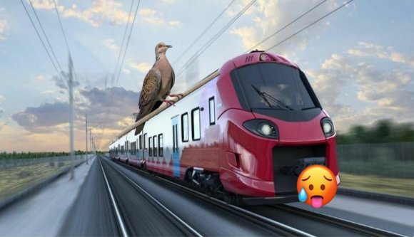 2023 volt a legmelegebb év eddig Romániában. Melyik szóra kerestek rá legtöbbet a tavaly? - hírmix kedden