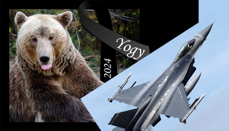 Rendőröknek játszották át a „selejt” térkövet Tordán. Elpusztult a zernyesti Yogi, a világ második legidősebb barnamedvéje