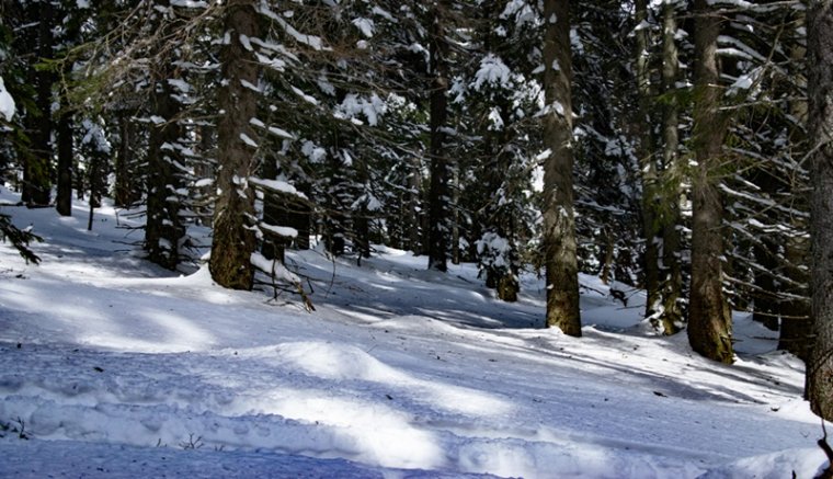 Sütő András elbeszélését vegyük elő, ha túl szeretnénk élni a tél végét