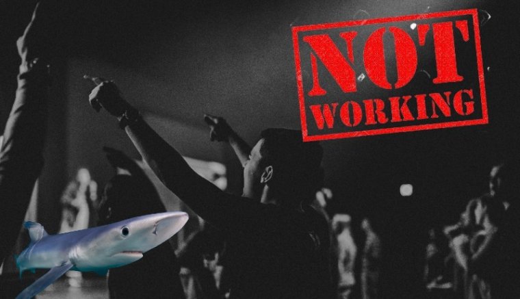 Egyre kevesebb fiatal akar dolgozni, cápát láttak a konstancai kikötőben – vasárnapi hírmix