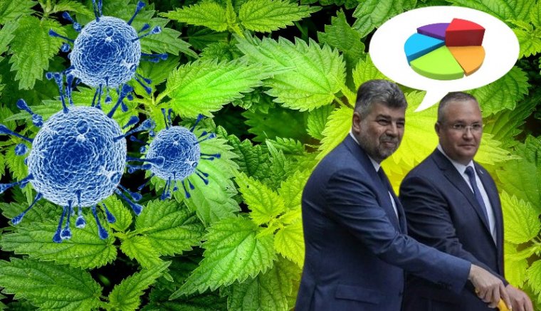 A PSD és a PNL választási szövetségre lép a helyhatósági választások után - hírmix szerdán