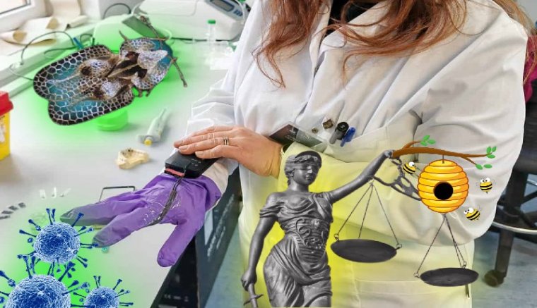 Okos kesztyűt találtak fel baktériumok kimutatására kolozsvári biokémikusok - csütörtöki hírmix