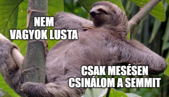 A romániai fiatalok 20 százaléka nem tanul és nem is dolgozik - hírek csütörtökön