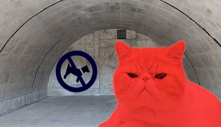 A párbeszéd mindennél fontosabb, kivéve az egyetértést, avagy hogyan szervezzünk korrekt vitát