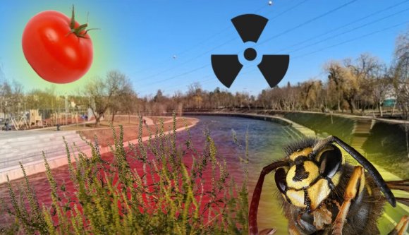 A nagyvárosi polgárt minden zavarja