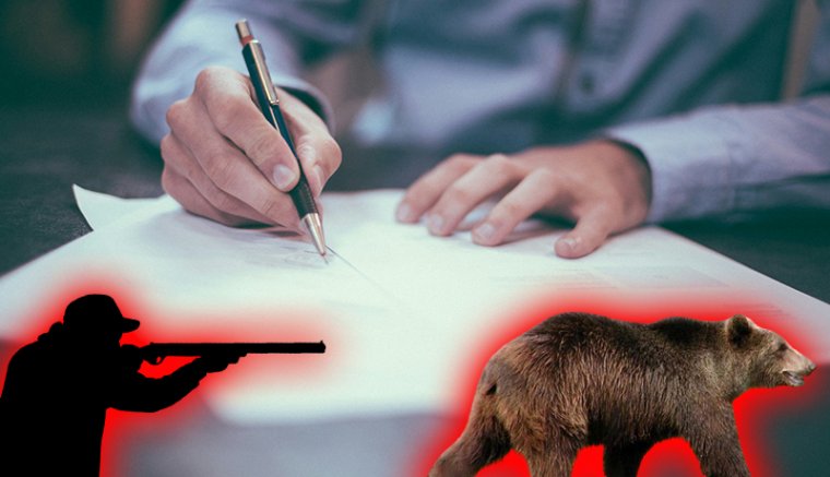 Hírek kedden: Kezdődhet a medvék kilövése. Megint borzalmas állapotokat találtak egy szociális otthonban