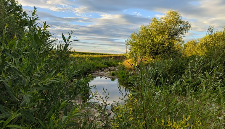 A Luc folyó újjászületése – tűnődések horgászat közben
