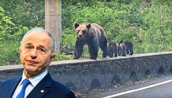 Ha valaki (például Mircea Geoană) csak kicsit lop másoktól, amikor doktori dolgozatot ír, az nem is plágium…