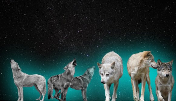 Ne hagyjuk ki a Perseidák meteorzáporát vasárnap este! - vasárnapi hírek
