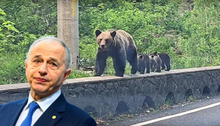 Ha valaki (például Mircea Geoană) csak kicsit lop másoktól, amikor doktori dolgozatot ír, az nem is plágium…
