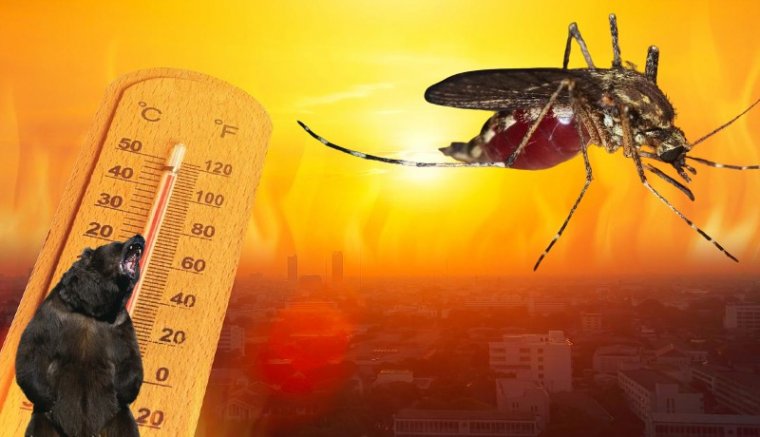 Szombati hírek: figyelmeztetések következnek!