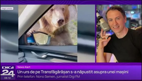 Már az autókra is rátámad a medve a Transzfogarason, megdorgálta Romániát Ukrajna – hírmix