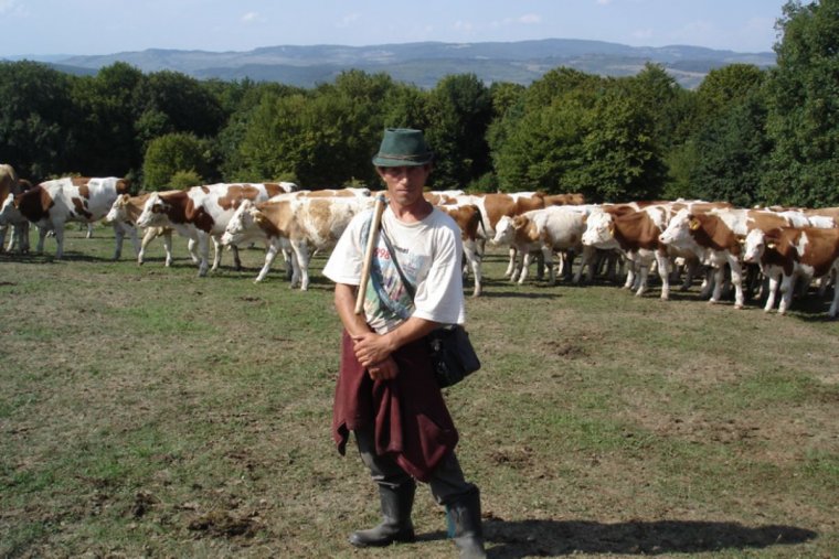 Modern szolgasorsban Székelyföldön