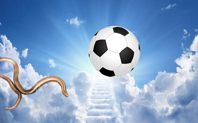 Pénteki hírek: fáról hulló hüllők, fentről hulló falak, focista exelnökök