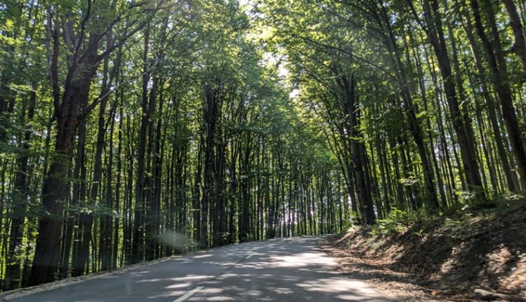 Nyaralás Miskolcon és környékén, avagy érdemes Borsodba látogatni - I. rész