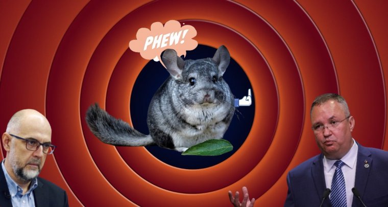 Uniós minimálbérek jönnek Romániában, hamarosan fellélegezhetnek a csincsillák – hírmix