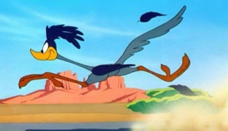 Legyűrte a biztonsági őrt és lelécelt egy ruhatolvaj a kolozsvári Iulius Mallban (VIDEÓ) – hírmix