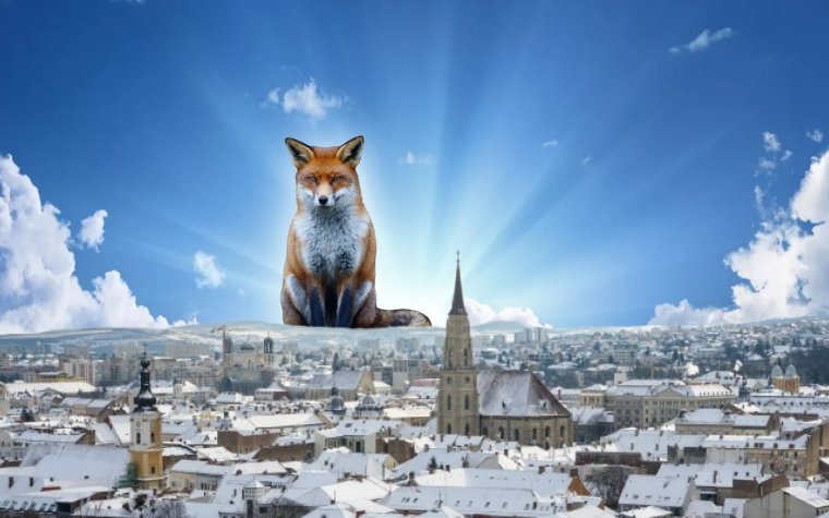 A nagyvárosi polgárt újfent minden zavarja