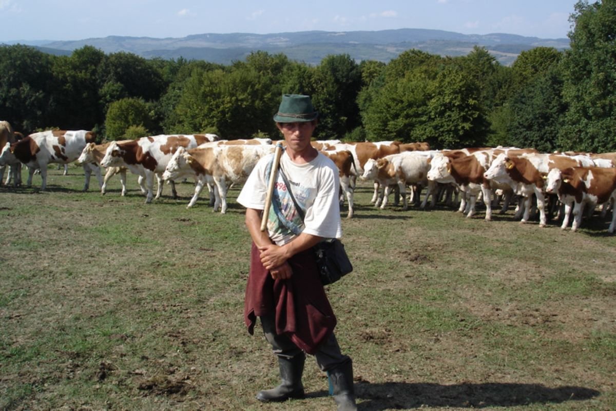 Képek forrása: filmtett.ro 