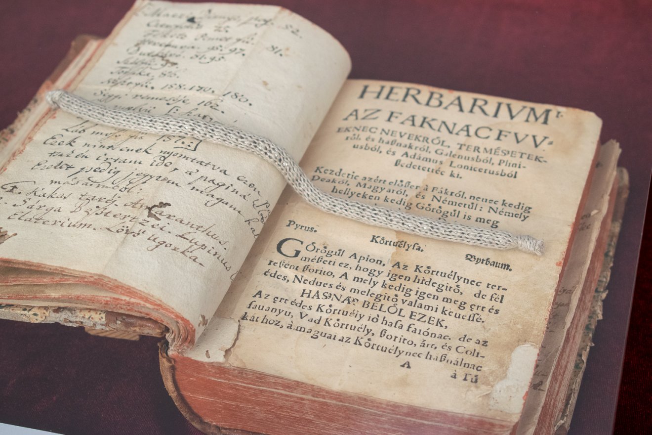 Méliusz Juhász Péter herbáriuma 1578-ból, mintegy 2000 magyar növénynevet tartalmaz 