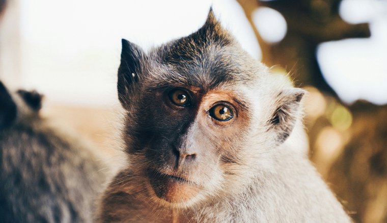 Reformok? Milyen reformok, helló?