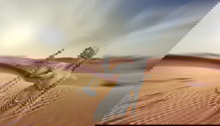 Becsületes Románia, avagy groteszk történet egy mioritikus bíróság épületéből