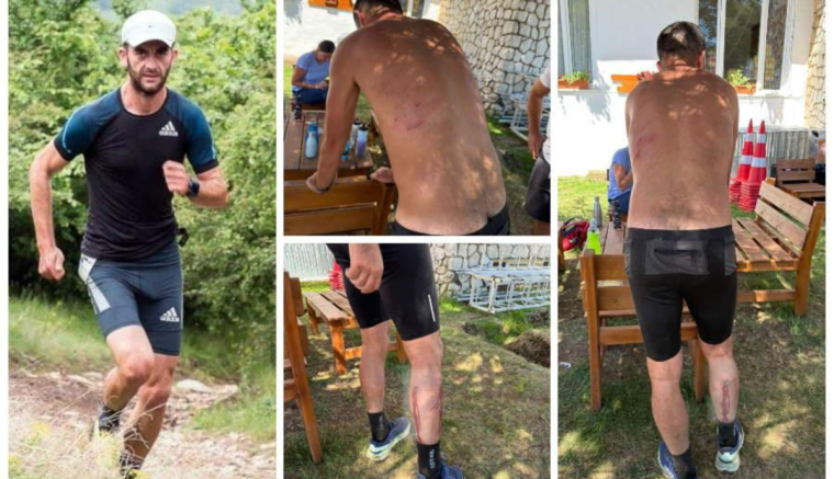 Az életéért küzdött az atlétikaedző, akire nyolc kutya támadt rá Biharfüred közelében – hírmix