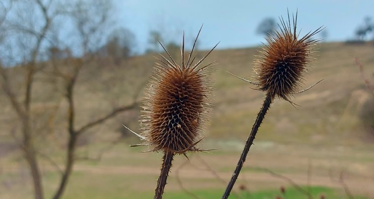 Az idei tavasz egyáltalán nem olyan, mint amit a mesterséges intelligencia ajánl (FOTÓK)
