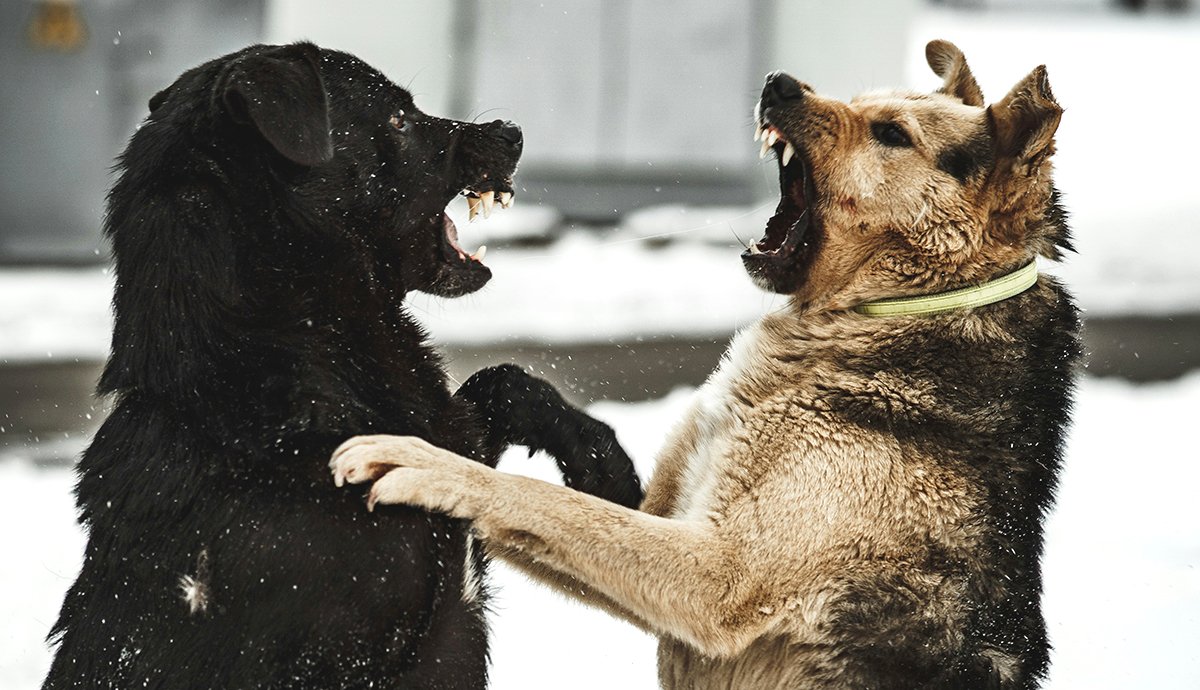 •  Fotó: Yuriy Vertikov / Unsplash.com