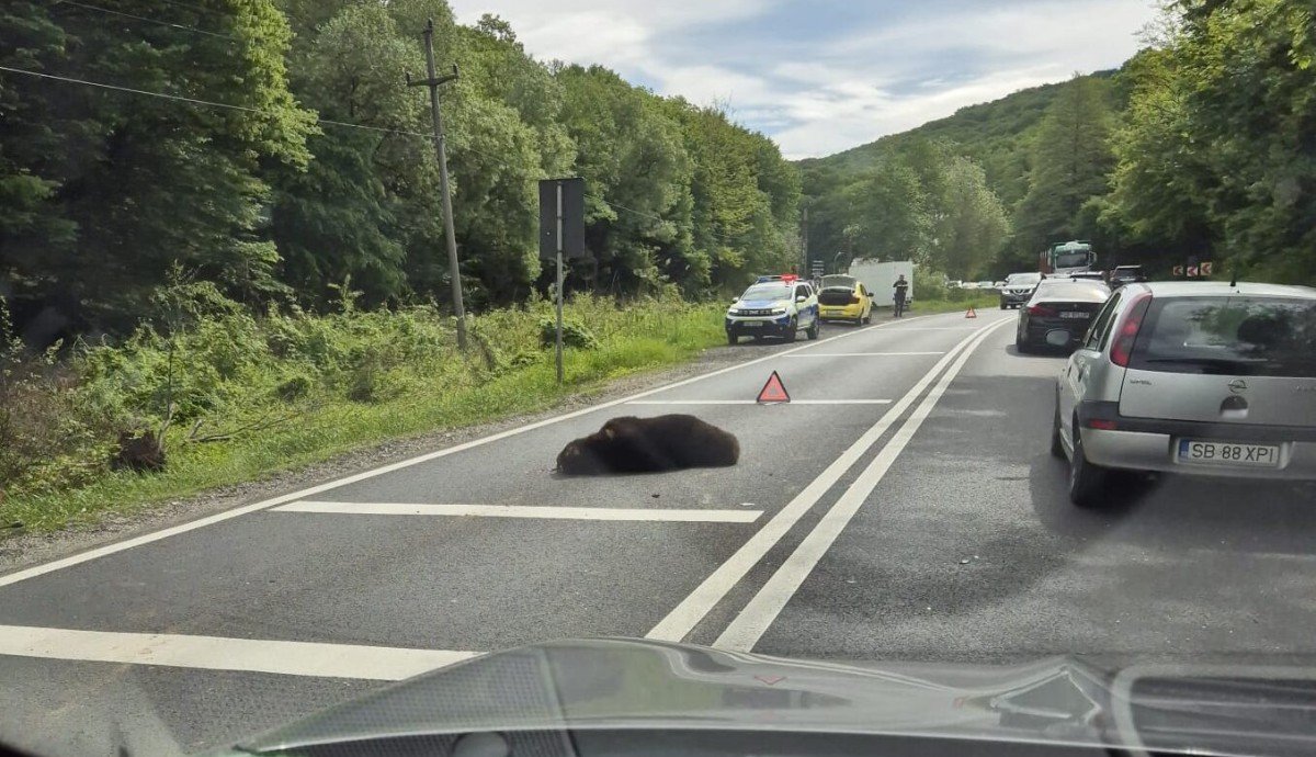 Fotó: INFO TRAFIC jud. SIBIU/Facebook 
