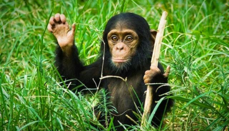 Útilaput kötnének az oktatási miniszter talpára a tanügyi szakszervezetek – hírmix