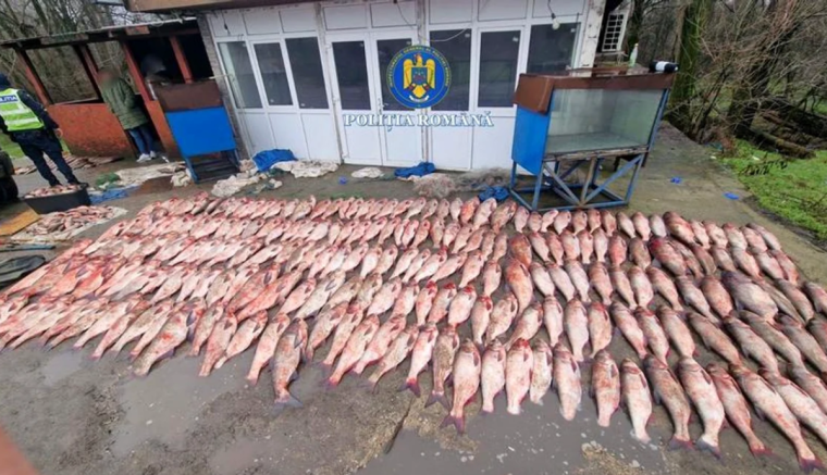 Több mint egy tonna illegális zsákmánnyal bukott le két orvhalász – hírmix