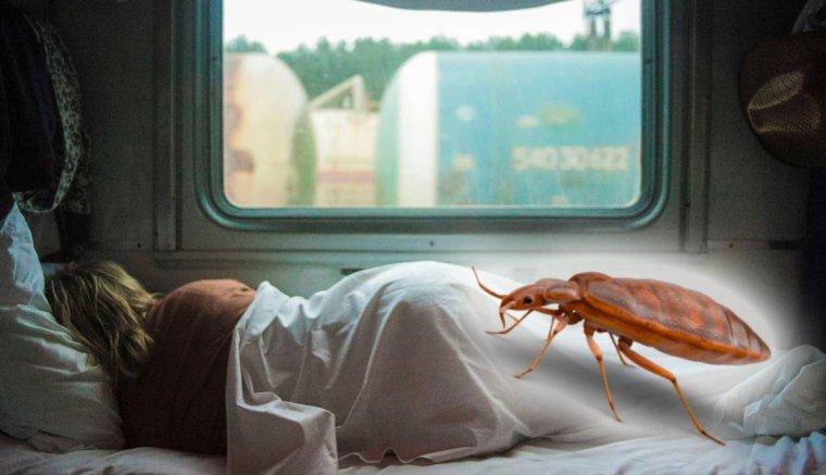 Hálókocsis vonatozás 2025-ben: kórházba juttattak egy nőt a poloskacsípések – hírek vasárnap