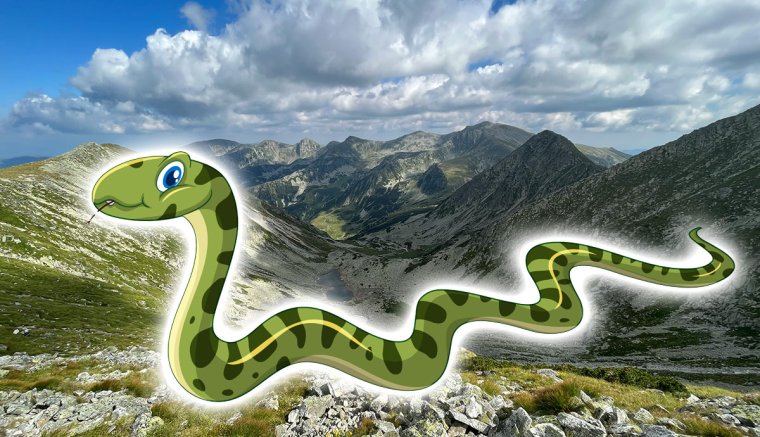 Megáll az ész: viperákkal szelfiznek az emberek a hegyekben – hírek pénteken