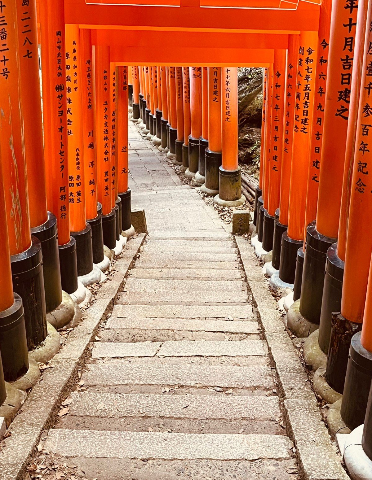 Torii folyosó a Fusimi Inari-nagyszentélyhez vezető úton, Kiotóban. (Fotó: Varga Brigitta) 