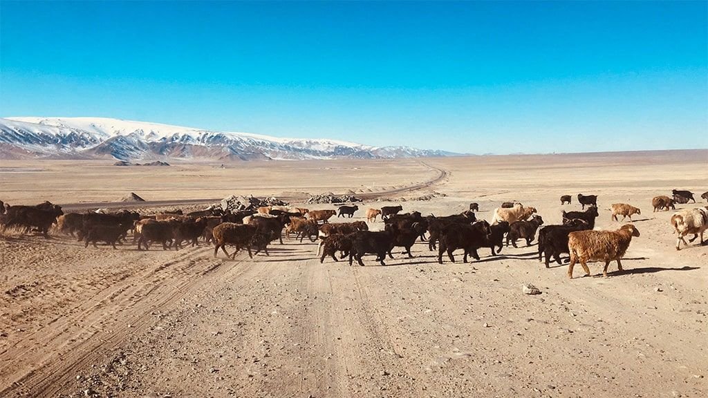 Fotó: berticiattila.hu 