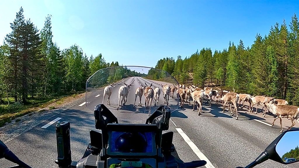 Fotó: berticiattila.hu 