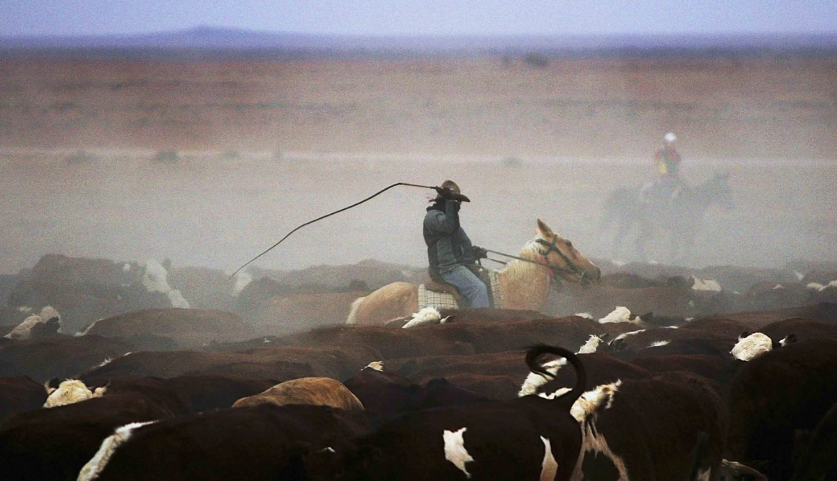 Illusztráció: cowboystatedaily.com 
