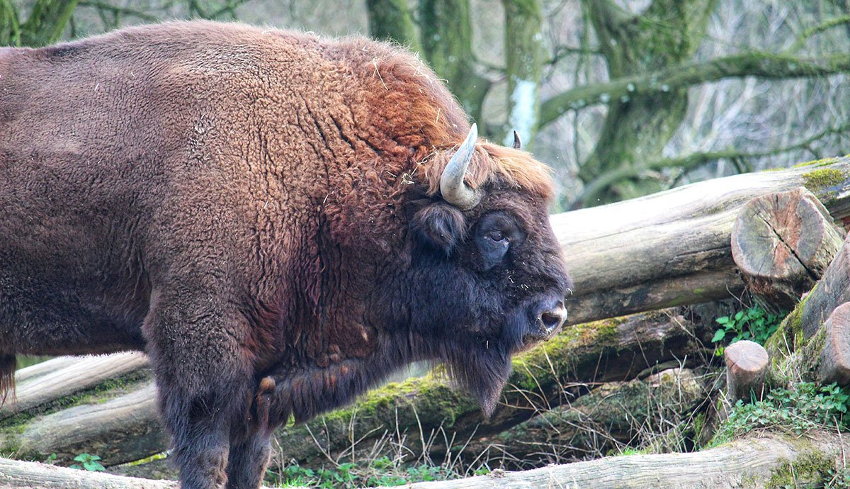 •  Fotó: Yannik/Unsplash.com