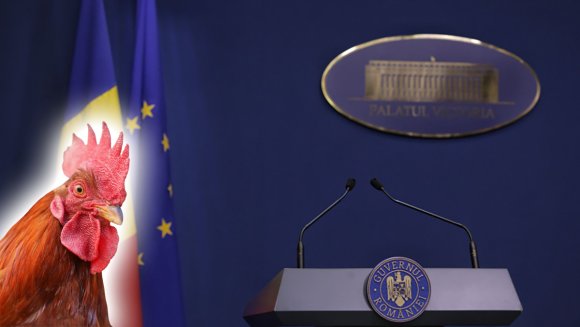 Mike, a fejetlen kakas és Románia – tényleg annyira tragikus, hogy hónapok óta kormányválság van?