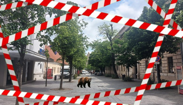 Egy szegény kis adófizető panaszai