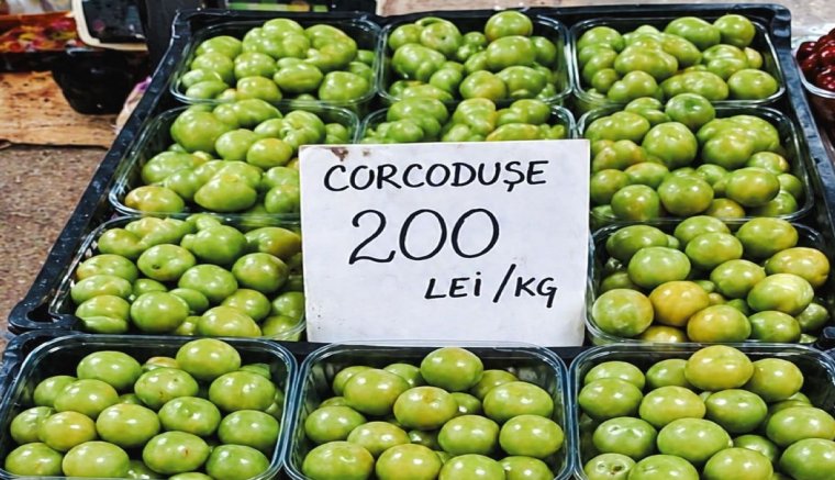 Emlékek az aranykorszakból aranyáron: hogyan lett kétszáz lej egy kiló fosókaszilva?