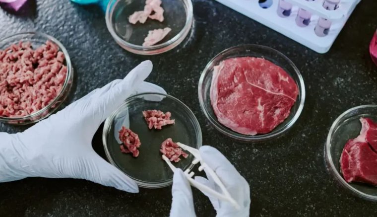 A laboratóriumban előállított hús betiltásáról vitázik a parlament