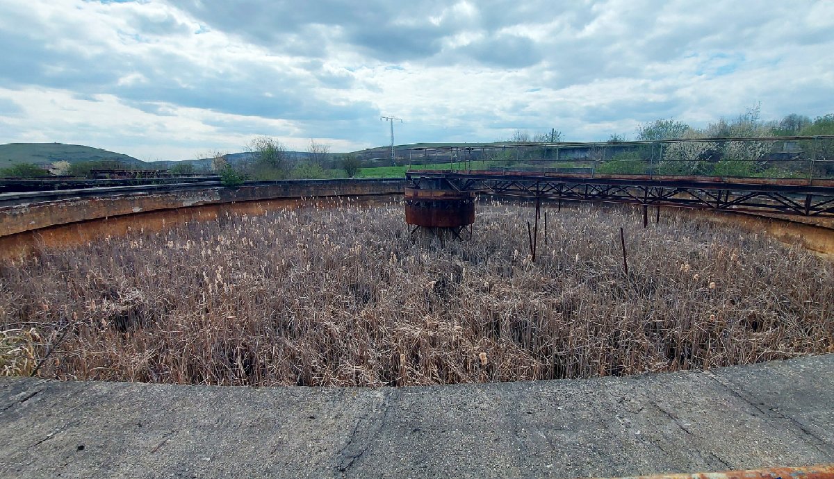 Nádas a homokmosó medencében. Szürreál! 