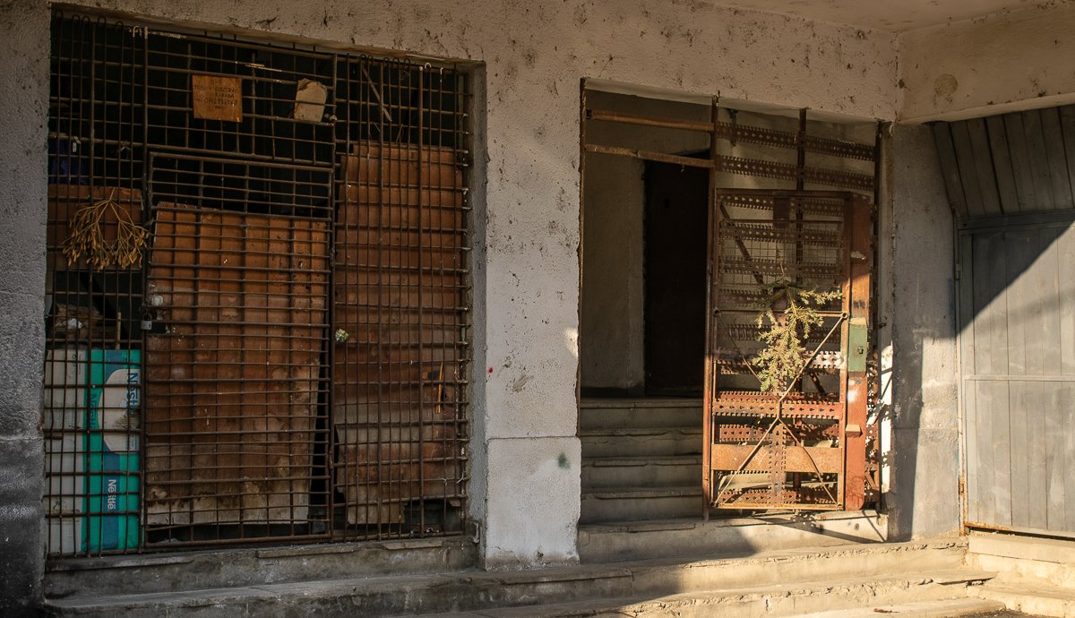 Fagyöngy és fenyő táplálja az enyészetet itt.