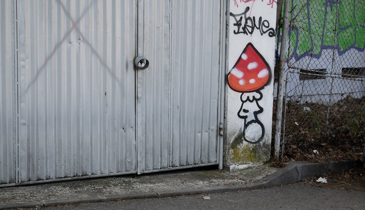 Ha erre jártam, tudtam, hogy itt lesz ez a sunyi légyölő galóca a letérőnél!