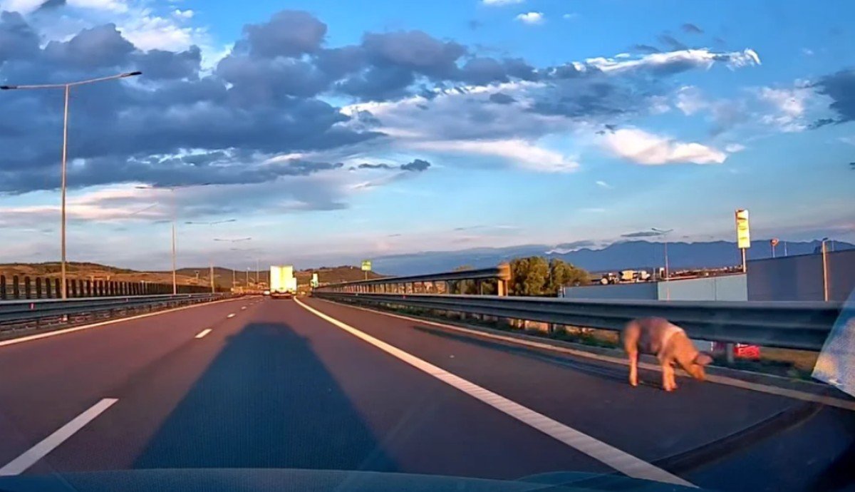 Fotó: Turnulsfatului.ro 