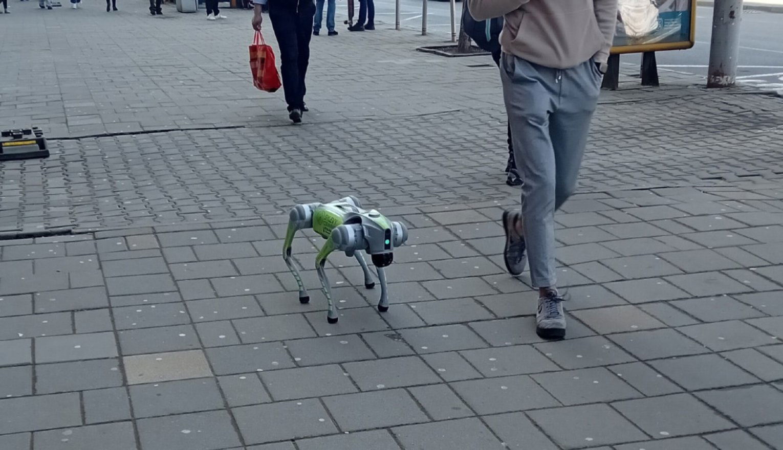 Itt a jövő: robotkutyák jelentek meg Erdély szívében. De mit csinálnak?